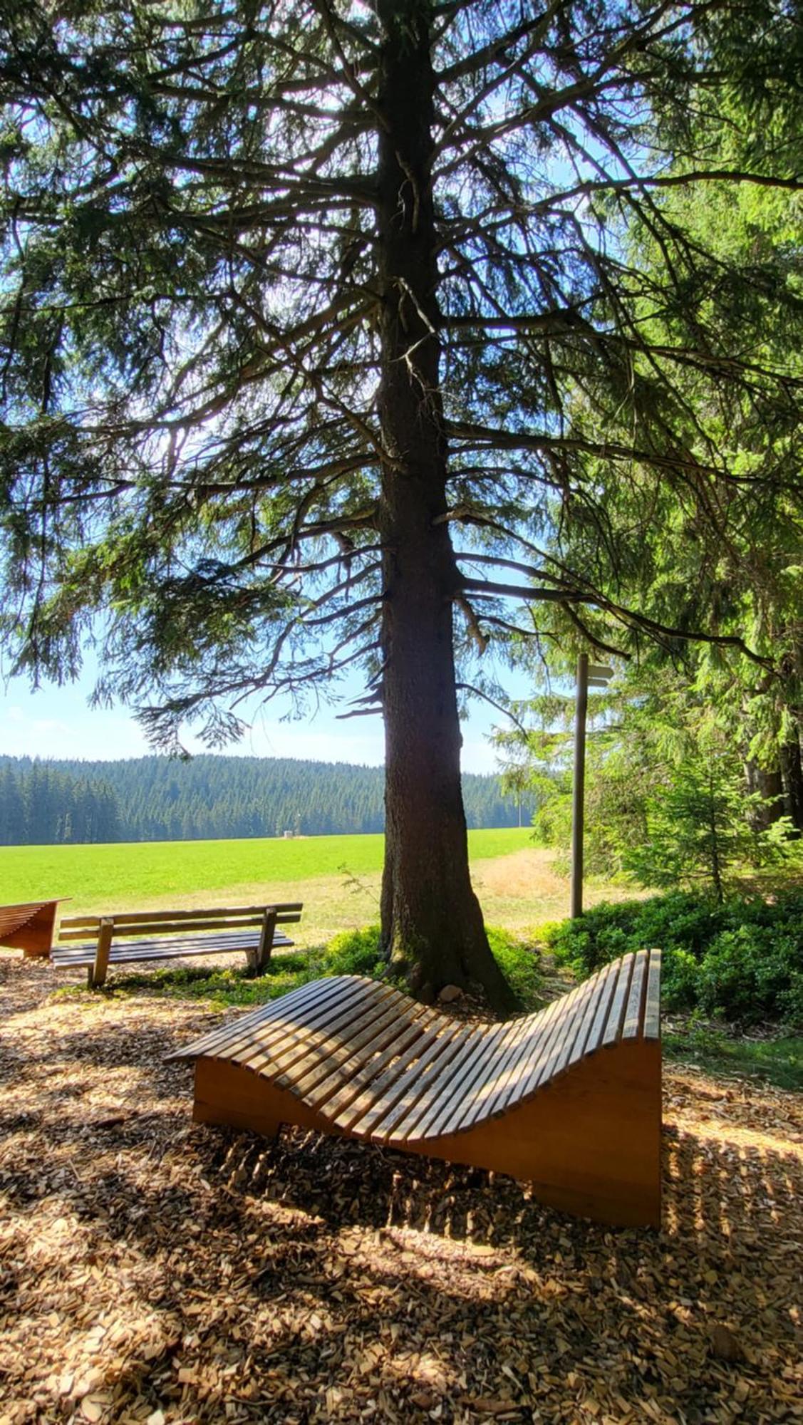 Fewo Gretel Schoenwald Exteriér fotografie