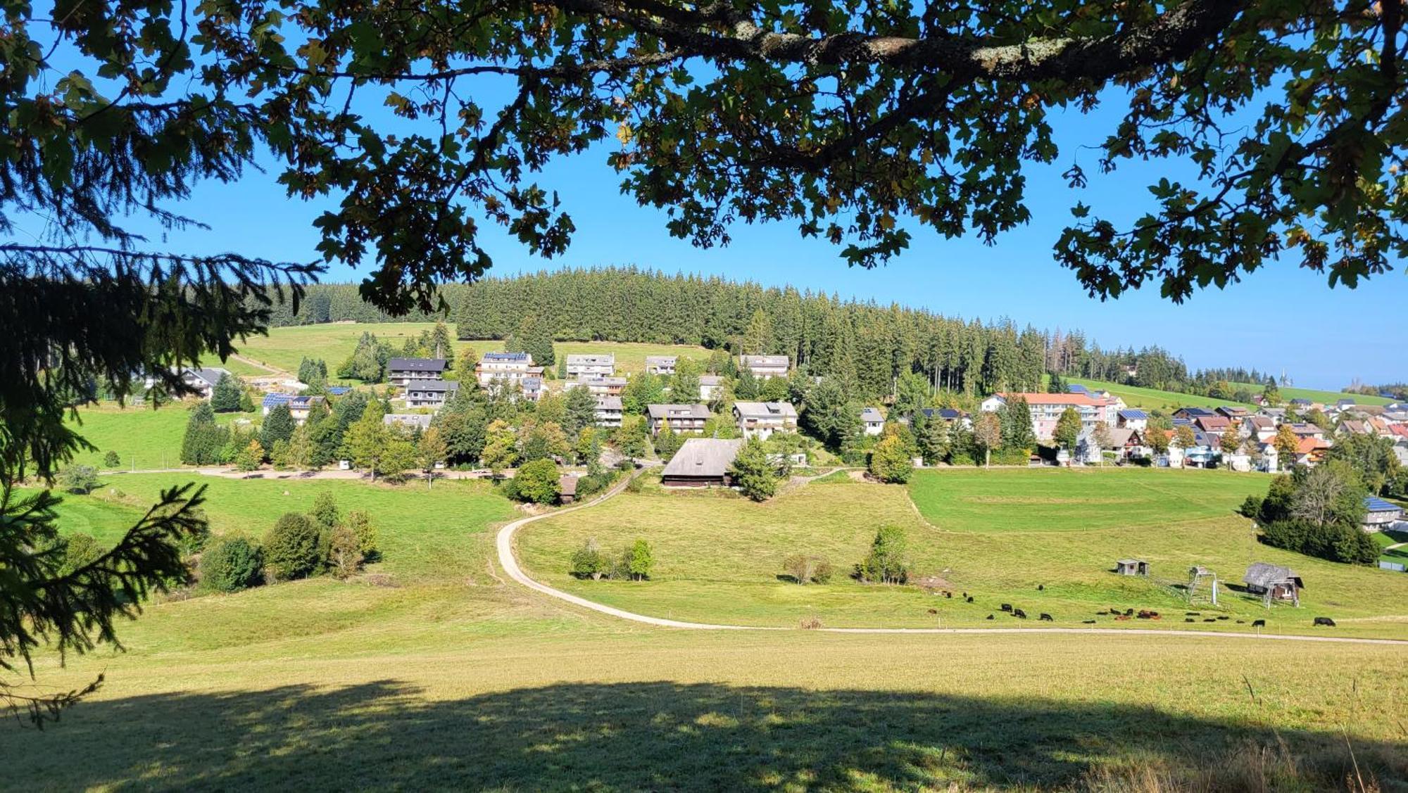 Fewo Gretel Schoenwald Exteriér fotografie